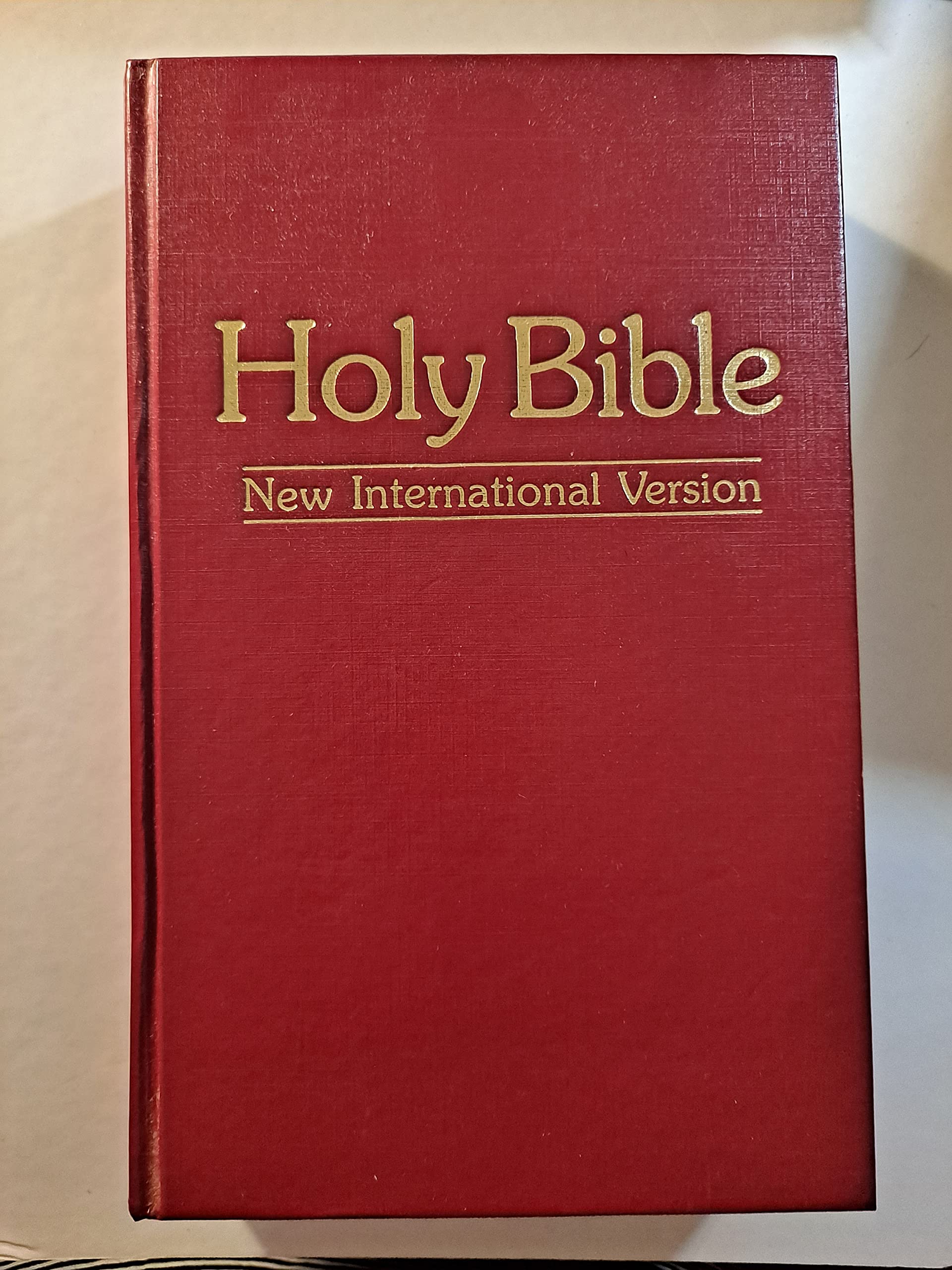 Holy Bible: New International Version by international bible